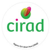 09-CIRAD-Viravaccine.jpg